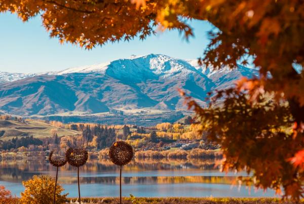 The Homestead at Lake Hayes Autumn resize