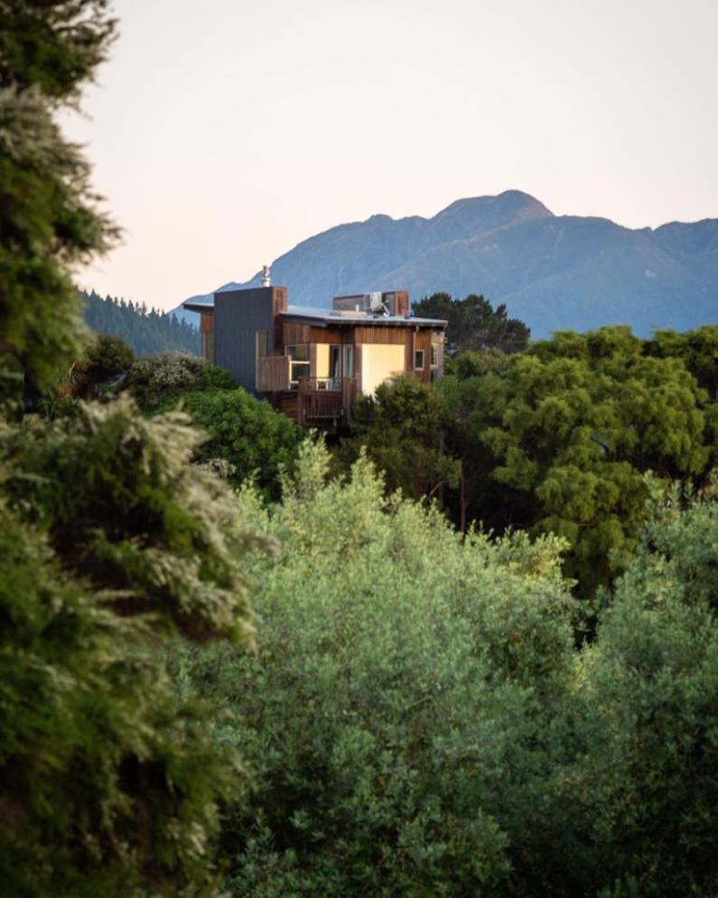 Hapuku Treehouse